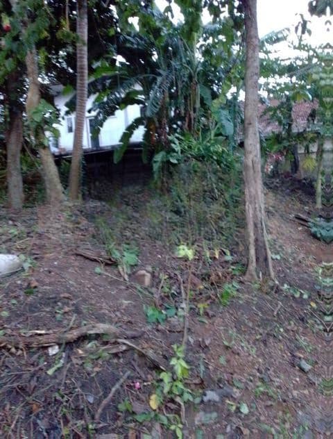 Land for Sale Thalawathugoda