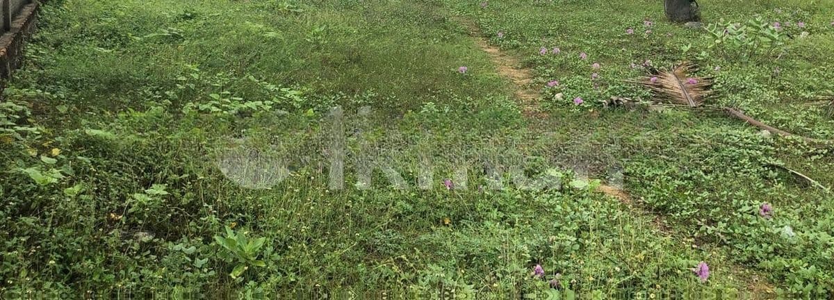 Colombo 8 : 42 perches Land for sale in facing Maradana road