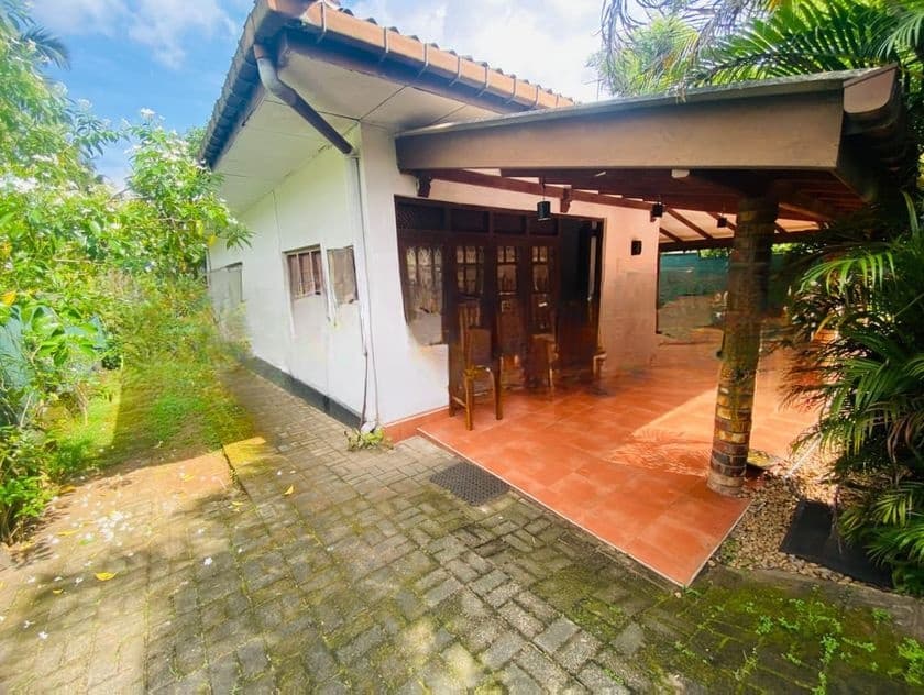 ( IR-1076)Valuable Single Storey House for Rent in Homagama