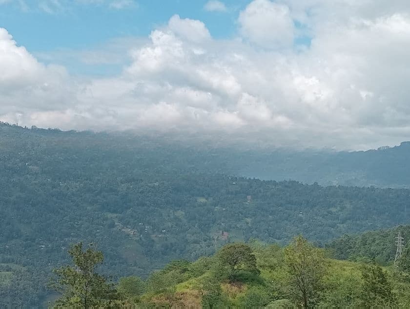 Land for Sale Nuwara Eliya Road Pundaluoya