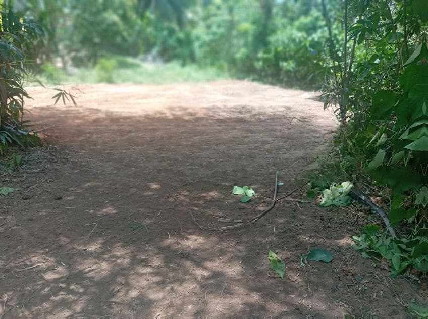 Prime Land for Sale in Homagama – Pitipana