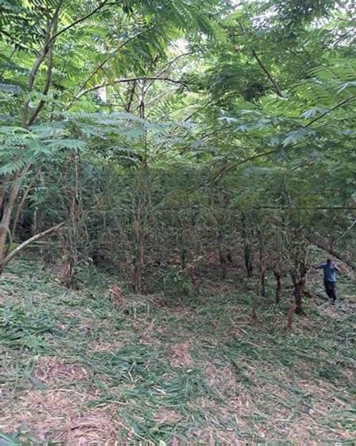 Land for Sale (3987 A) Kandy