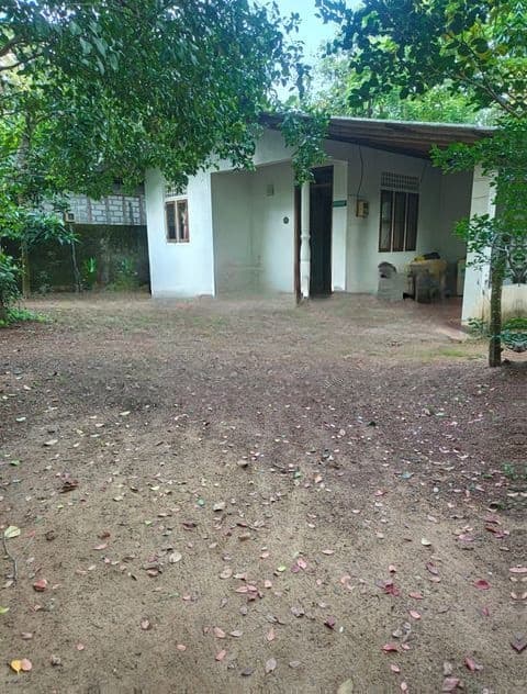 කදානට නුදුරින් අංගසම්පුර්ණ නිවසක්