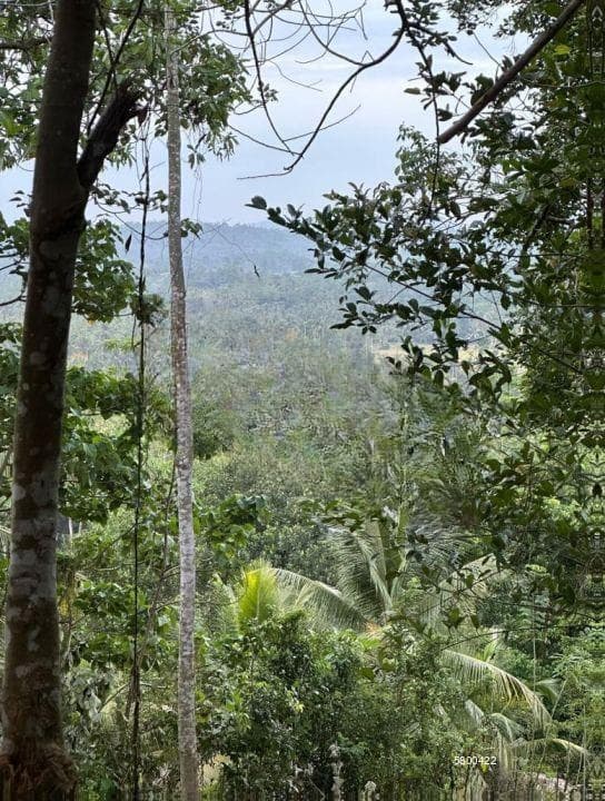 Scenic Land For Sale In Ahangama With Paddy Fields Views -code Add 772