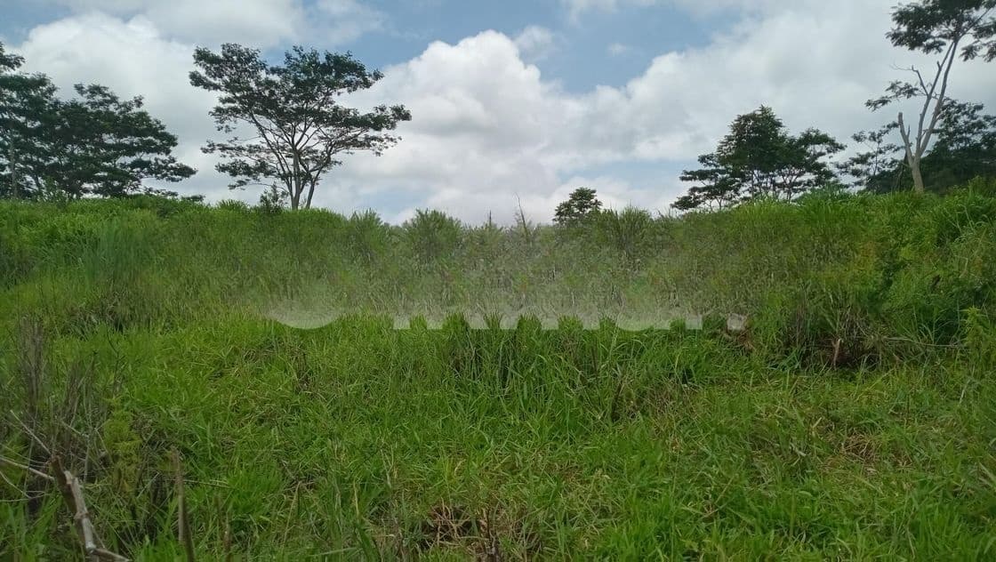 Land For Sale Pussellawa