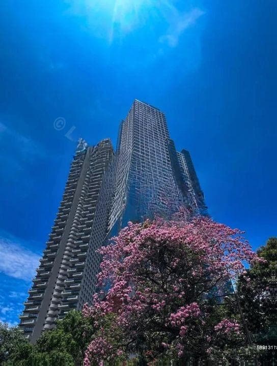 (SE1539)🏢 Luxury Fully-Furnished Apartment for Sale in Colombo 03