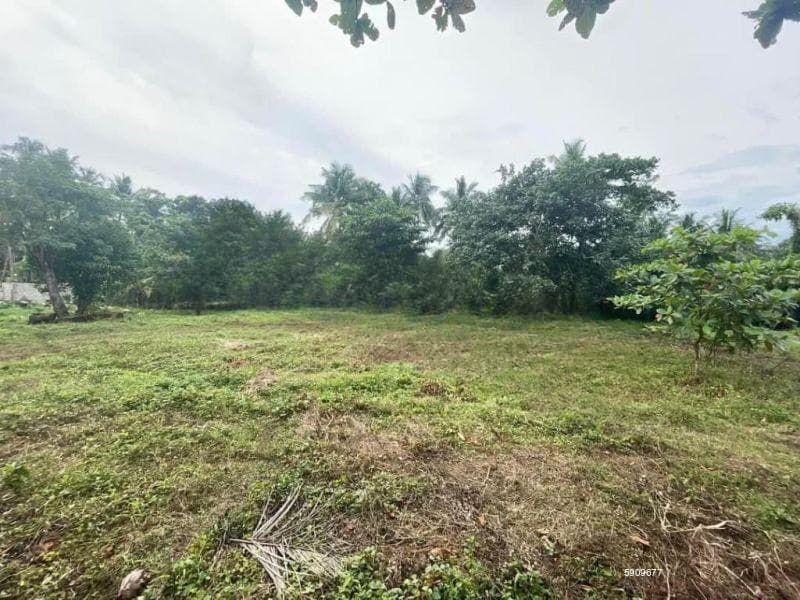 Land For Sale In Galle -talpe Suburbs -code Add 939