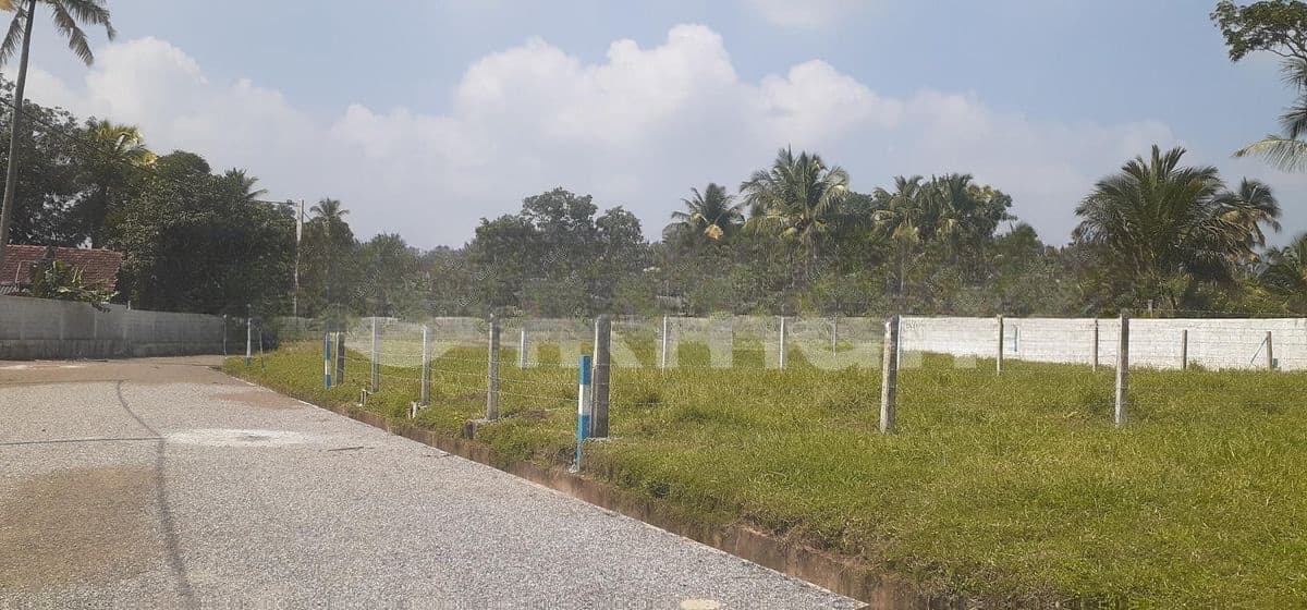 කුරුණෑගල දඹුලු පාරට මුහුණලා ඉඩමක්