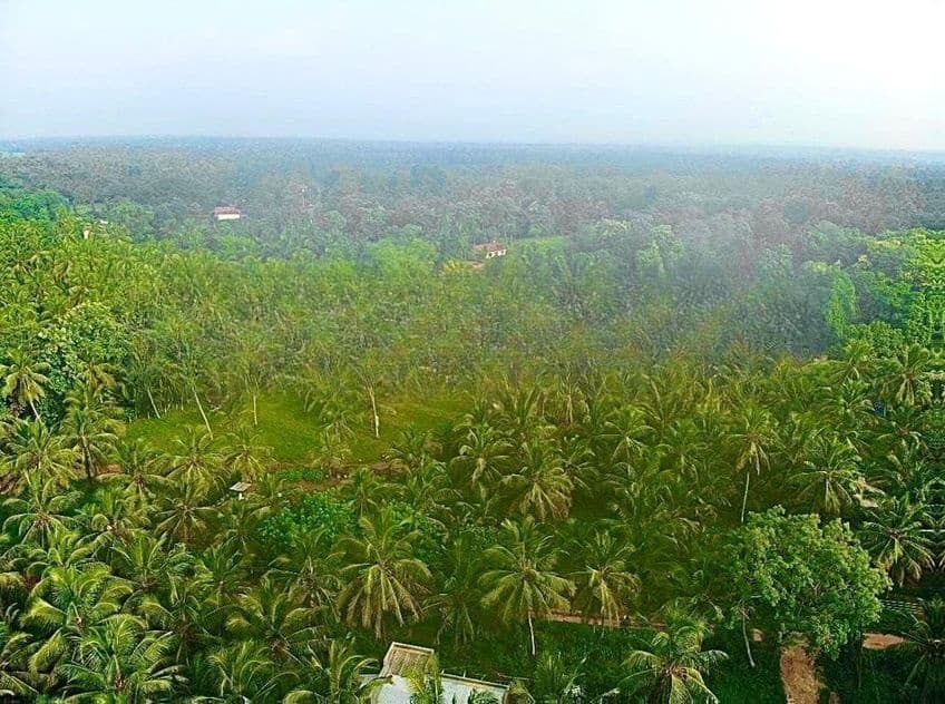 සුන්දර වටපිටාවකින් නුවර පරට ලගම තැනක් මාවතගම පිලැස්ස