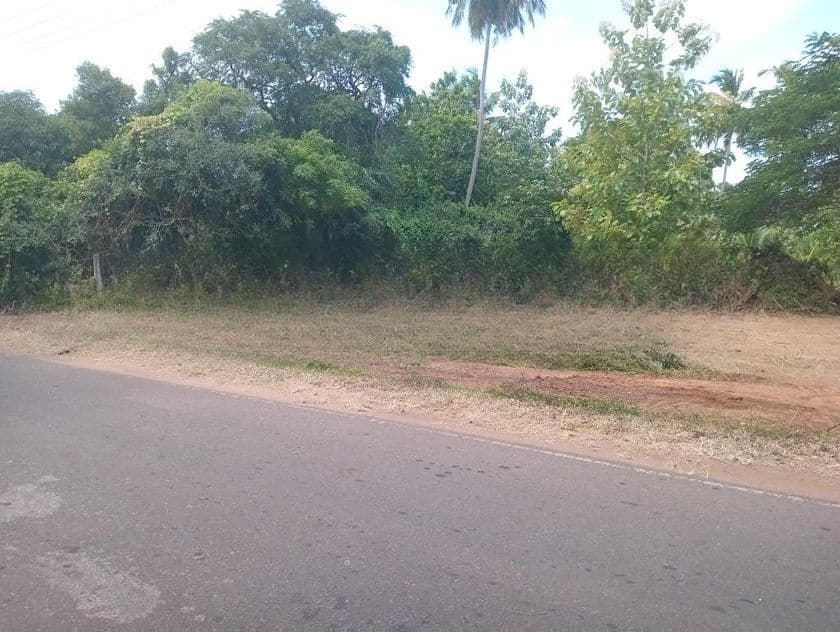 Land for Sale Anuradhapura