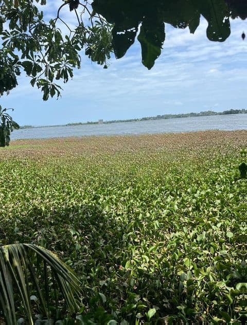 LAND FOR SALE IN MORATUWA-LS-565