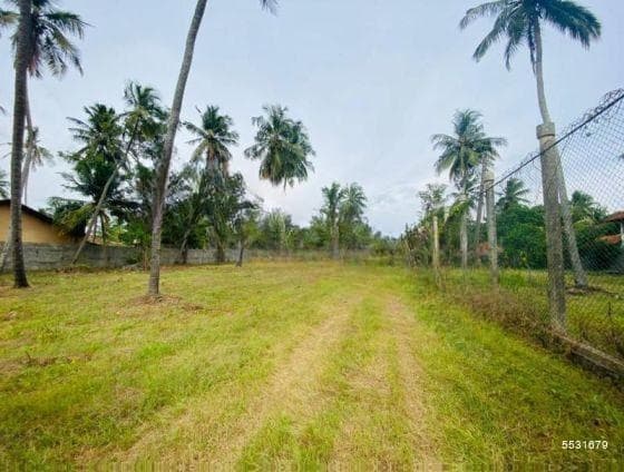 Land for Sale - Negombo | LKR 412,500,000