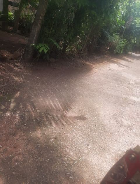 Land For Sale In Raththanapitiya