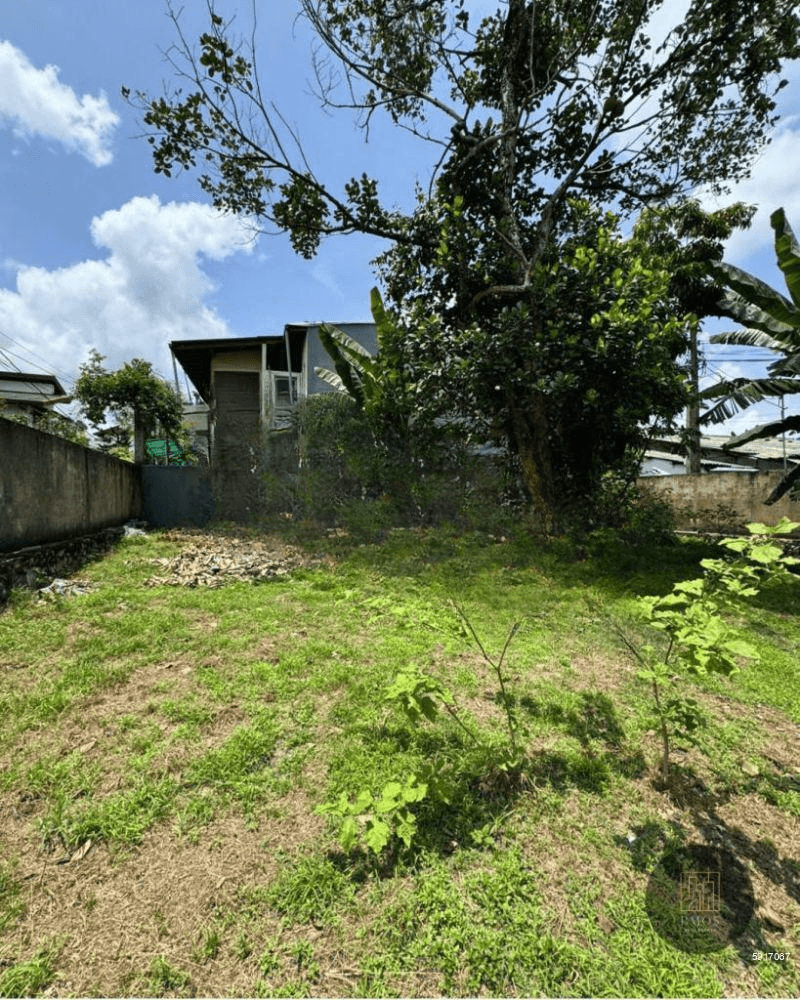 Bare land for sale in Thalawathugoda