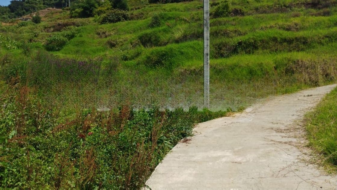 Land for Sale in Nuwaraeliya Abewela