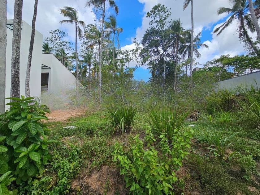 10P Prime Land for Sale – Thalawathugoda