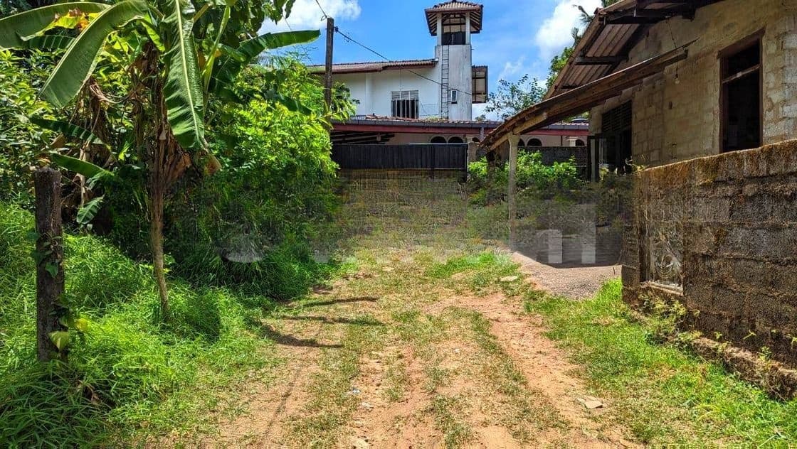 නිට්ටඹුව – මඩුවෙගෙදර වටිනා බිම් කොටසක්