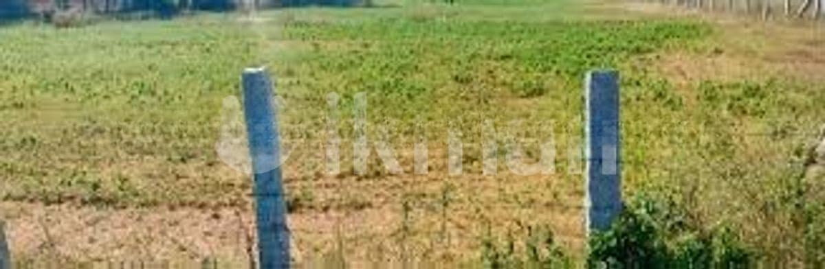 NUGEGODA : 8 PERCHES PRIME LAND FOR SALE