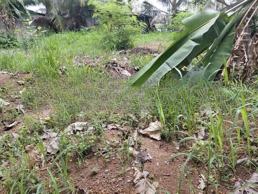 Land for Sale Nugegoda