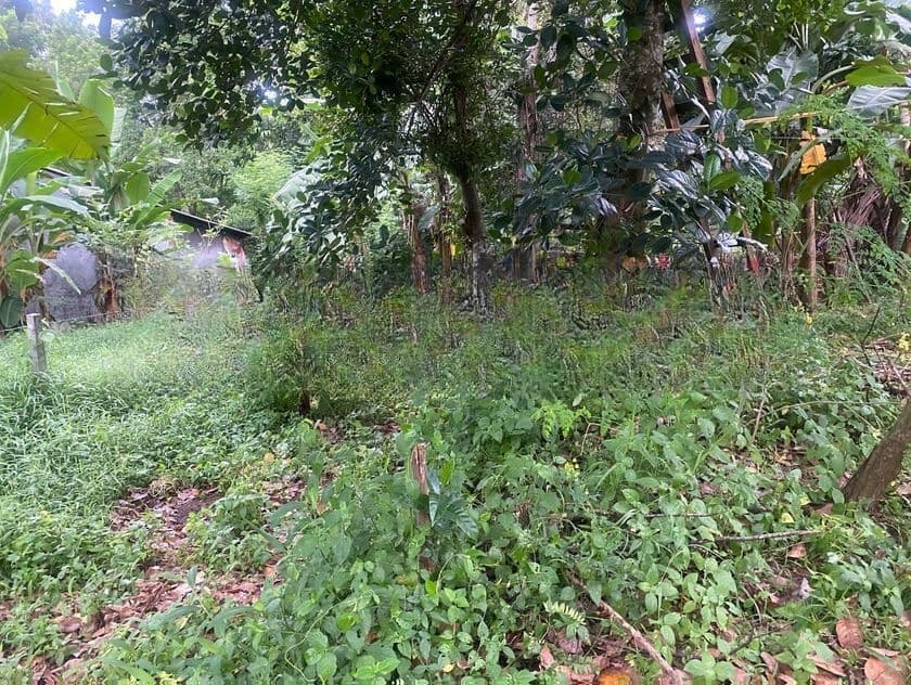 Land for sale in Ragama