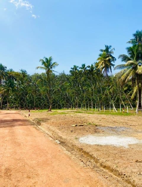 පම්බල පල්ලිය අසලින් සින්නක්කර බිම් කොටස්