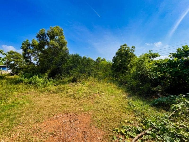 Commercial Land for Sale in Wattala