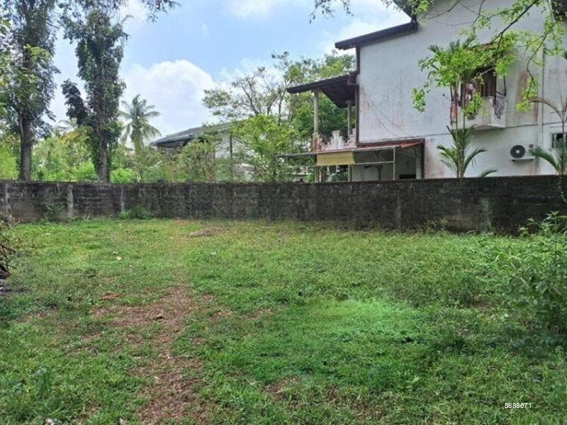 Valuable Residential Land for Sale in Indigolla, Gampaha.