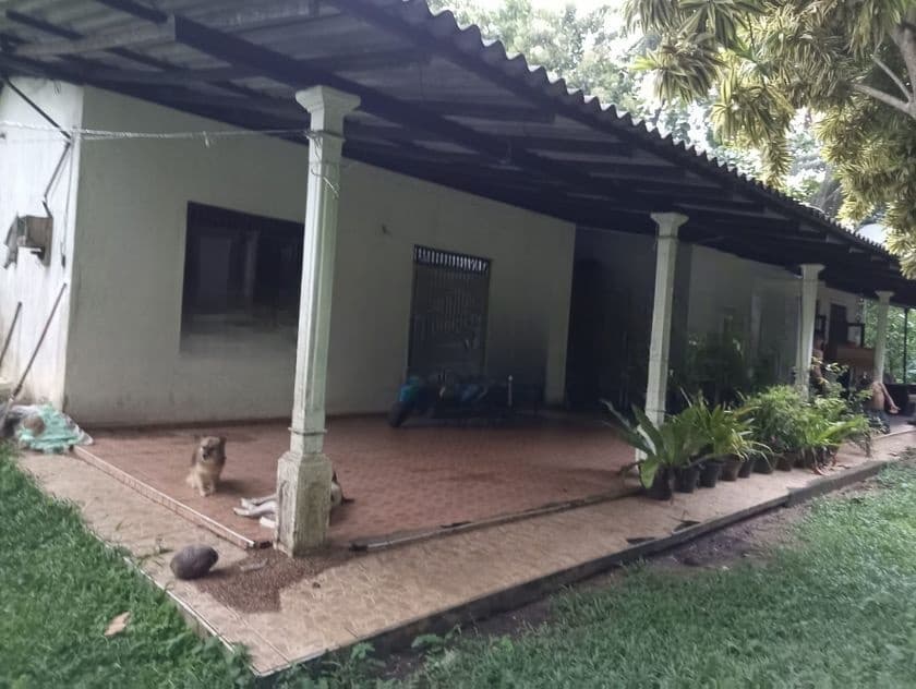 4+ Acre Agricultural Estate with 5-Bedroom House for Sale – Kurunegala
