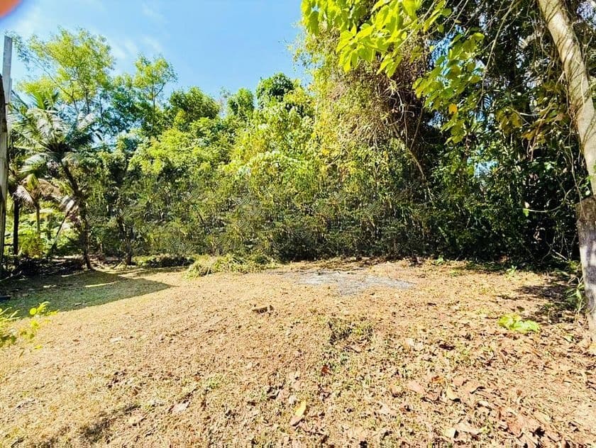 කටුනායකින් පර්චස් 20ක ඉඩමක් /KK 13624
