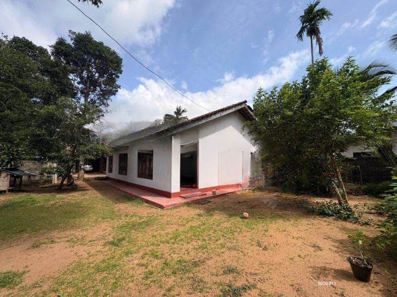 3 Bedroom house for rent in Seeduwa for Rs. 50,000 (per month)