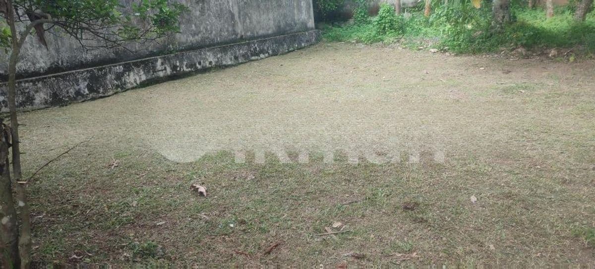 Thalahena Best Residential Land for Sale in Udyana Mawatha