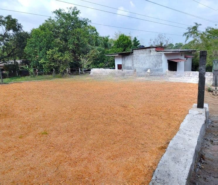 Ideal Residential Plot in Kothalawala