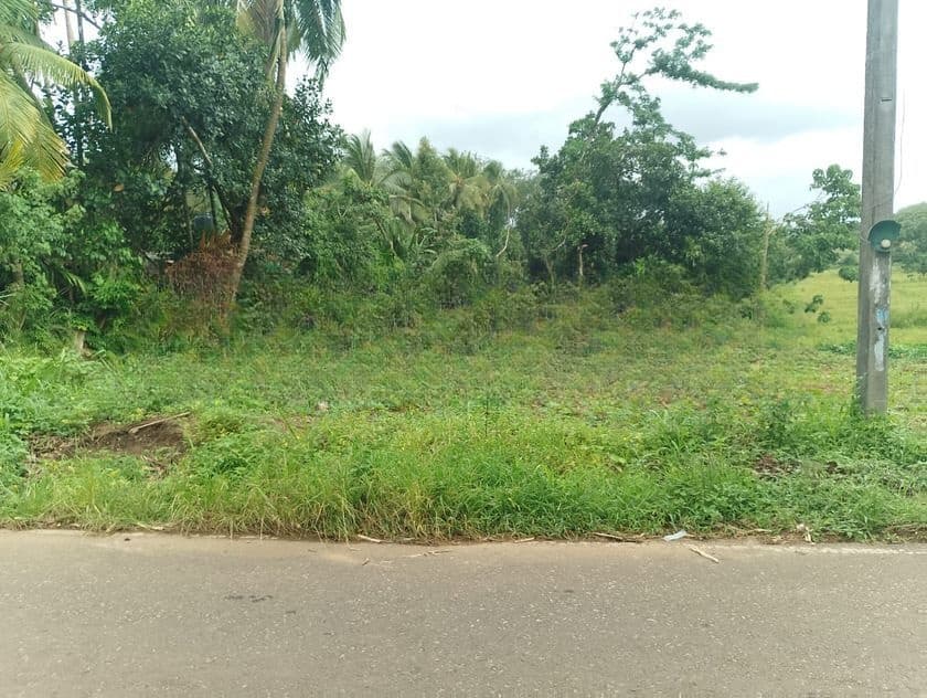 කිරිඳිවැල අවටින් වටිනා ඉඩමක් විකිණීමට