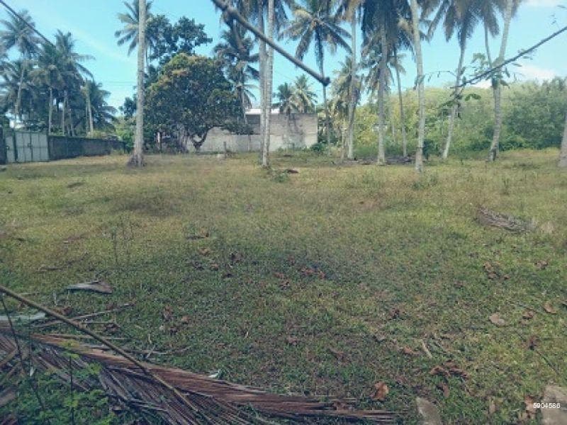 Katunayake Seeduwa Amandoluwa main road facing 80 perch land for sale