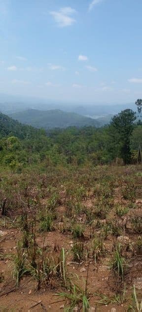Scenic View Land for Sale in Kandy District