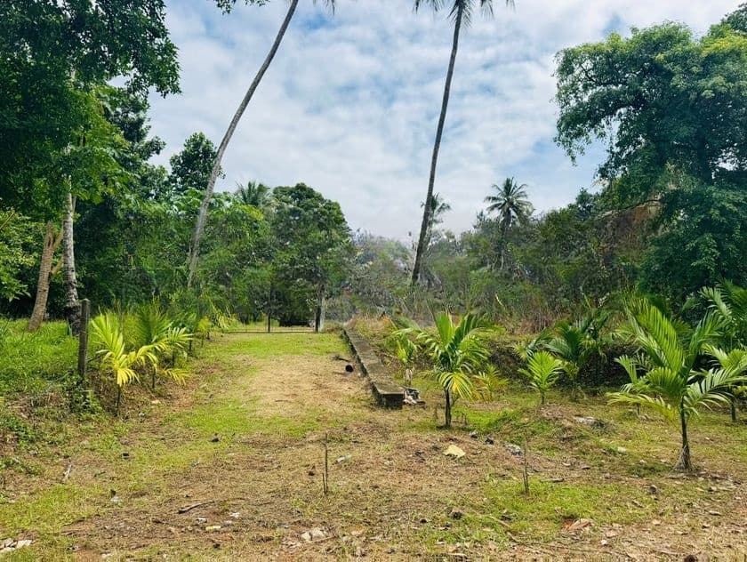 නිට්ටඹුවෙන් වෙල් යායකට මායිම් අගනා ඉඩමක්