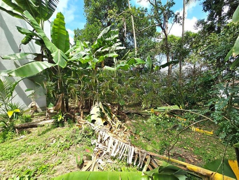 11.50P Bare Land For Sale In Battaramulla