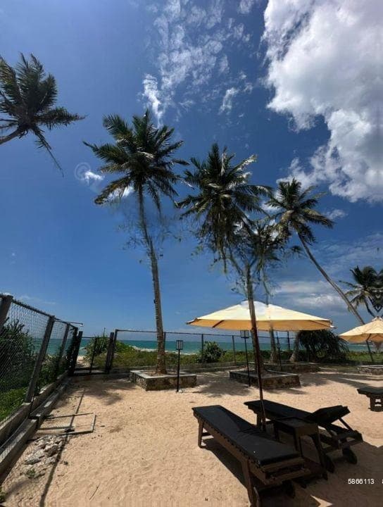 Exclusive Beachfront Villa in Hikkaduwa
