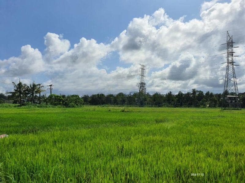 14.2 Perch Paddy Field View Land on Temple Road, Maharagama (SL 14342)