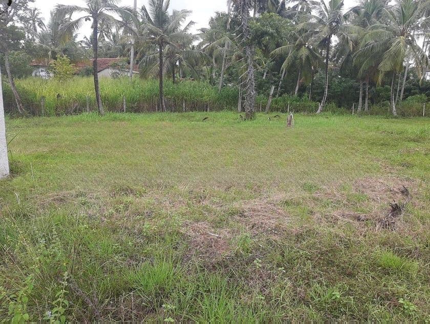 බිංගිරිය ටවුමෙන් හලාවත බස් පාරට ලගින් සුපිරි ඉඩමක්