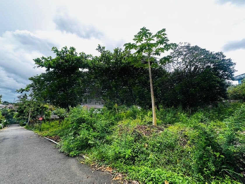 (AFA587) 30 P Bare Land for Sale –Robert Gunawardena Road Malabe