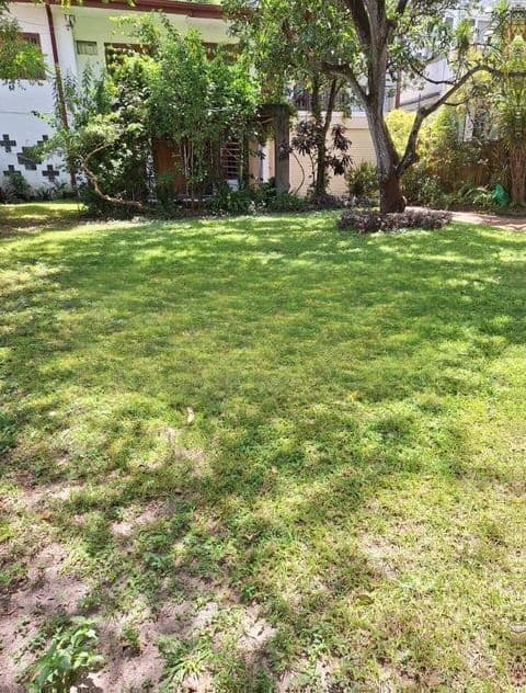 Land For Sale Peterson Lane Wellawatha kA1770