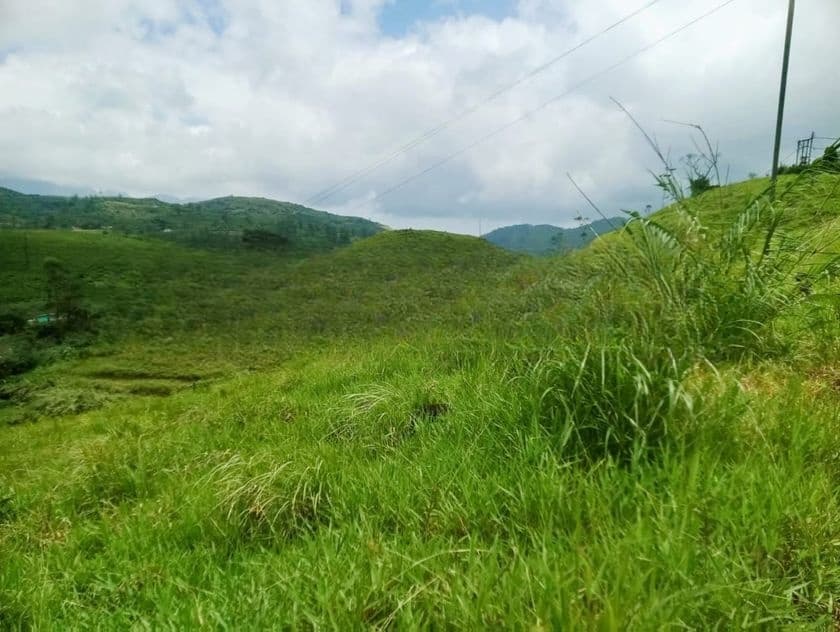 land for sale in hatton ds