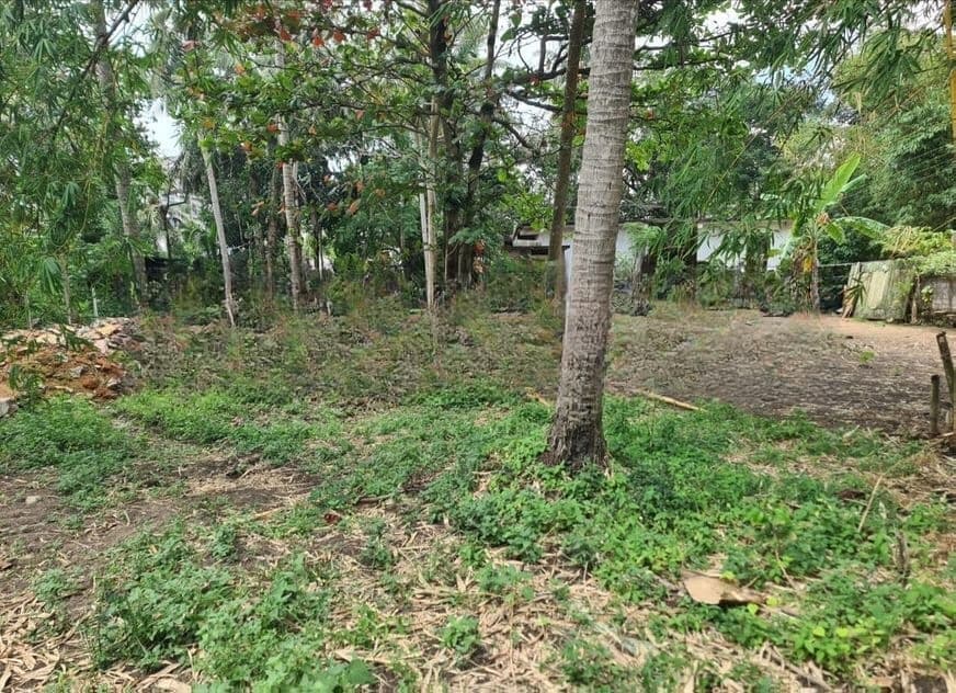 270 Perches of Commercial Land for Sale in Malabe