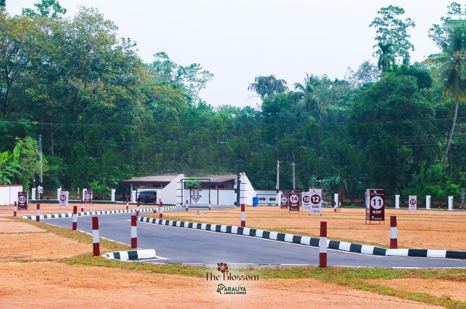 Lands For Sale In Gampaha - Oruthota