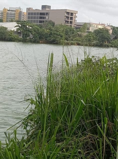 Land for Sale Battaramulla