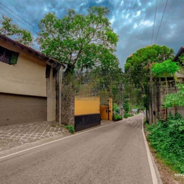 Brand New Luxury 4BR House for Sale in Palawatta