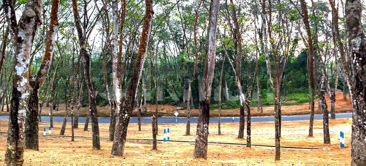 Homagama Meegoda Land for Sale