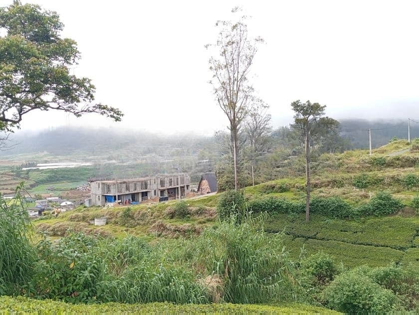 Valuable Land for Sale Nuwara Eliya