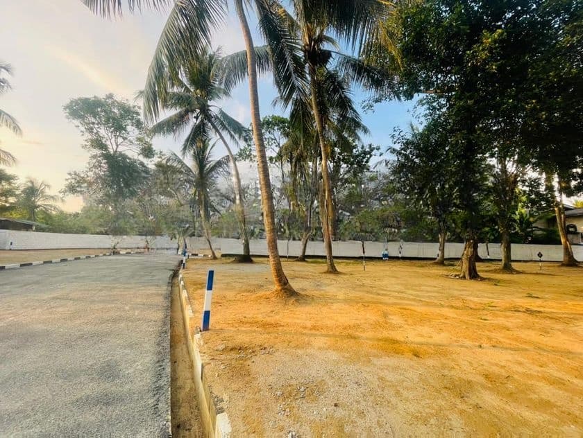 Wattala Mahabage Limited Plot for Sale